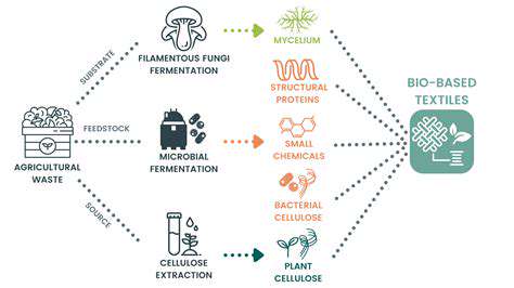 The Science Behind Textile Recycling Processes: New Discoveries