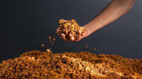 ExploringInnovativeMaterials:BeyondLeatherandRubber