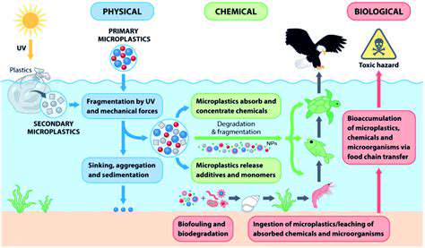 The Problem with Microplastic Pollution from Synthetic Garments: New Solutions