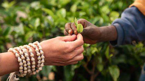 Ethical Sourcing and the Living Wage Debate: New Perspectives