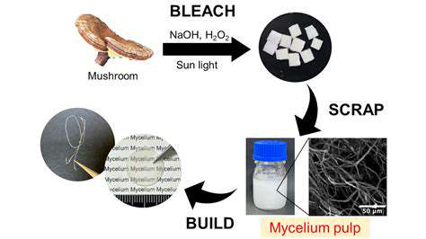Sustainable Fabric Innovations: New Materials on the Horizon