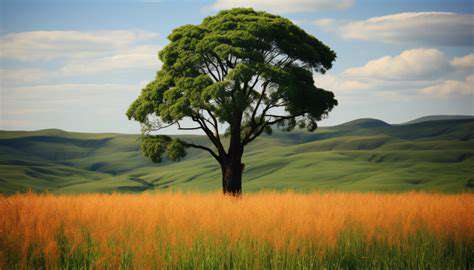 BridgingtheGapBetweenLuxuryandSustainability