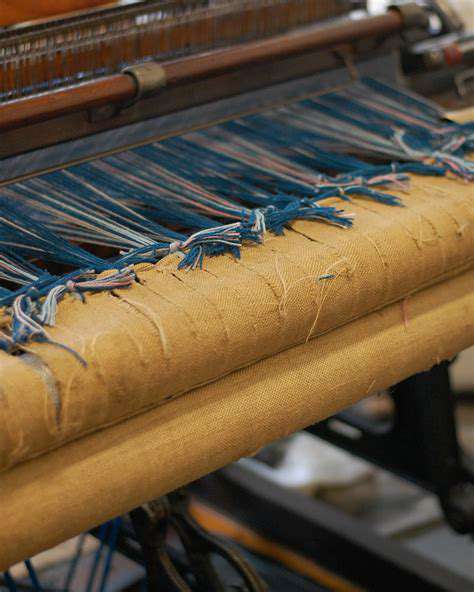 FromFarmtoFabric:TheCircularityChain